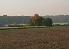 Herbststimmung-24-10-09 010.jpg
